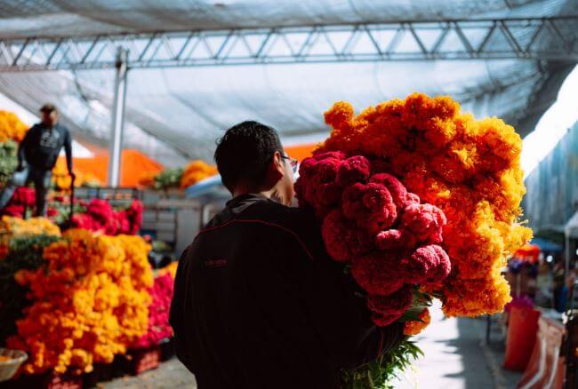 10 flores mexicanas que también son comida (y están deliciosas)