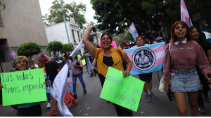 ¿Cómo apoyar la lucha por la Ley Integral Trans en México?