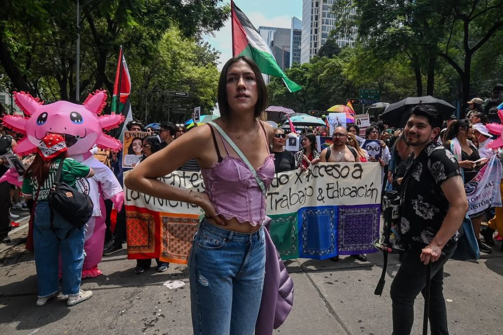Ley Integral Trans: Una lucha que resiste en colectividad
