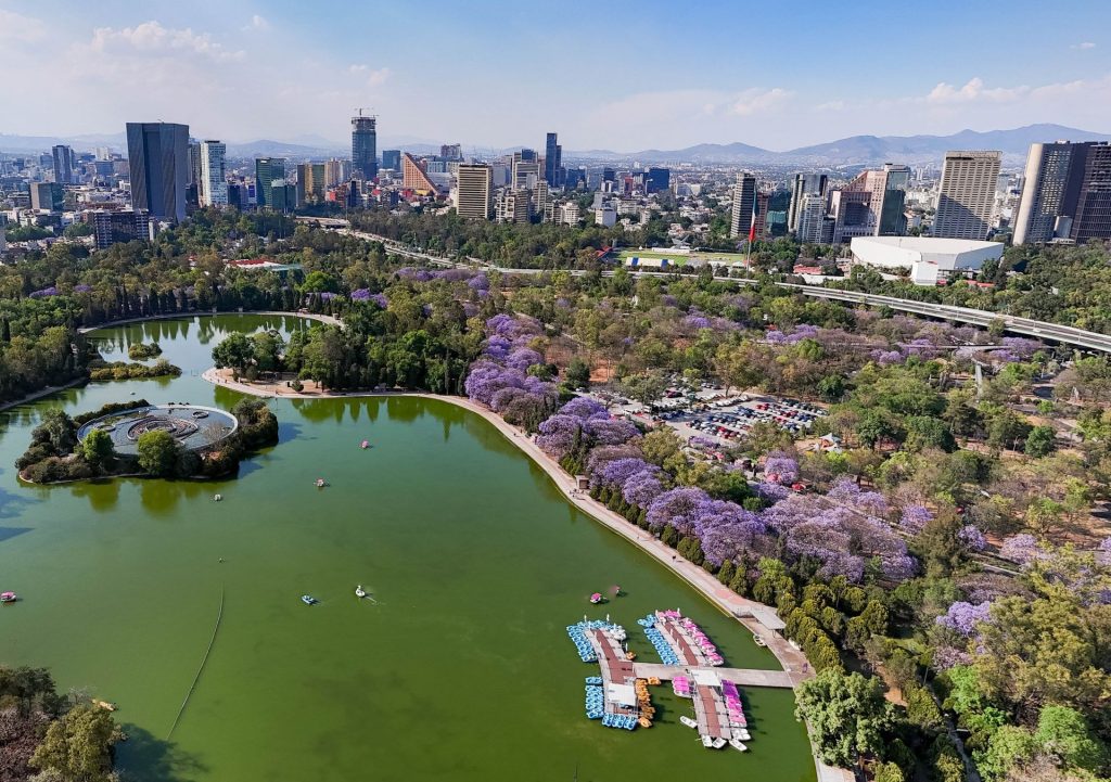Lo que sabemos del megamuseo del Ejército que amenaza el área protegida de Chapultepec