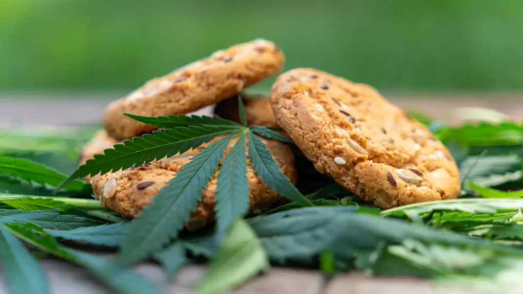 Suprema Corte da luz verde y autoriza el uso de cannabis en alimentos para autoconsumo recreativo