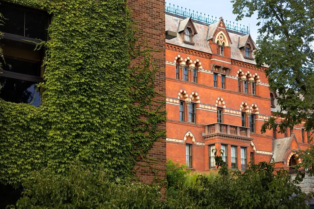 Universidad de Cornell: Lo que se sabe de la demanda que enfrentan por una agresión sexual en grupo