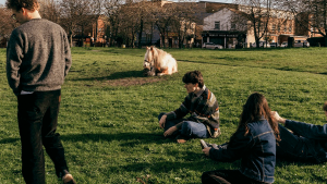Integrantes de la banda Westside Cowboy relajándose en un parque verde; tres de ellos sentados en el pasto y uno de pie, con un caballo claro al fondo.