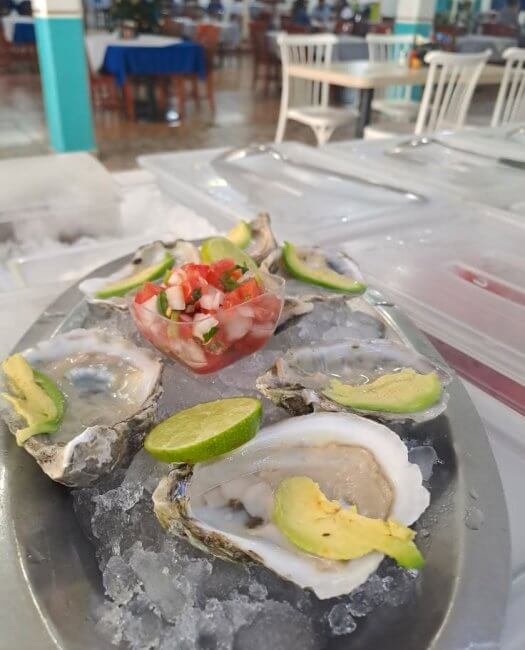 Adiós a los prejuicios: 10 restaurantes que demuestran que Villa Coapa ya cambió y no es lo que era
