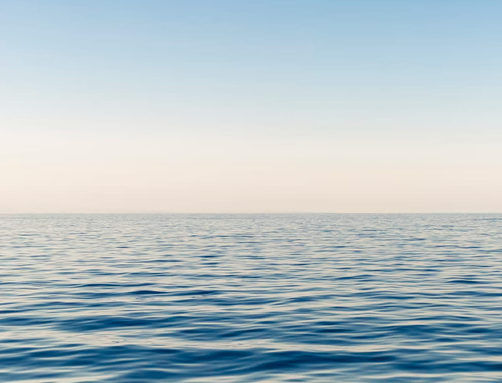 10 frases de Anne Carson