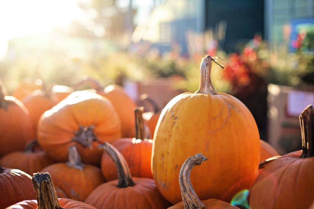 ¿Calor en Halloween? Hay alerta de altas temperaturas por anticiclón en México