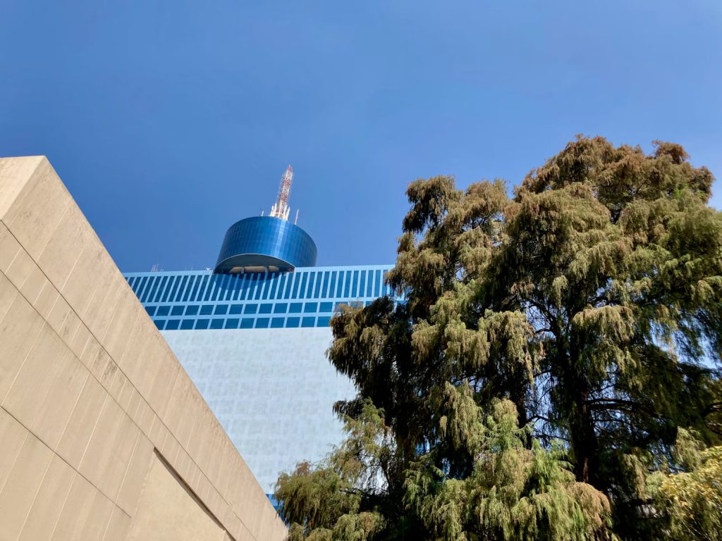 ¿Quiénes cuidan los árboles en la CDMX?