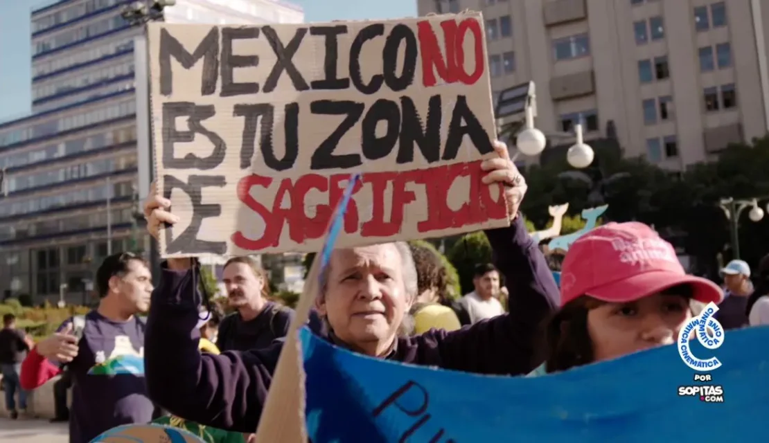 Ve gratis el documental ‘¿Ballenas o gas?’ narrado por Ximena Sariñana y Jane Fonda