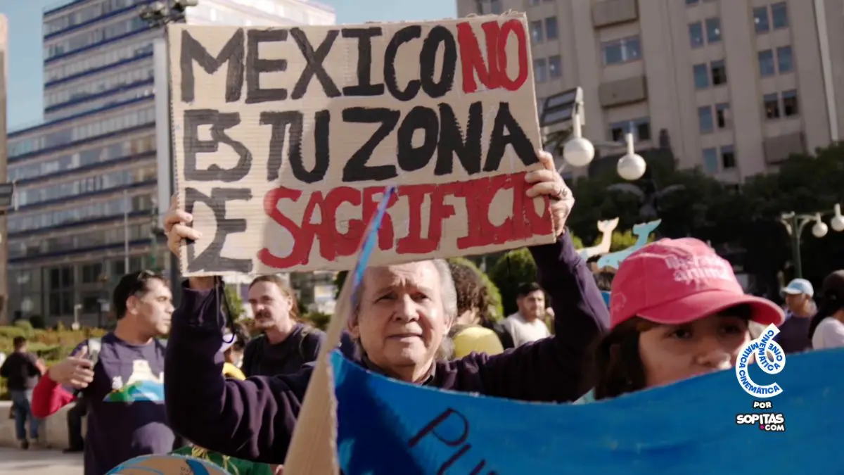 Ve gratis el documental '¿Ballenas o gas?' narrado por Ximena Sariñana y Jane Fonda