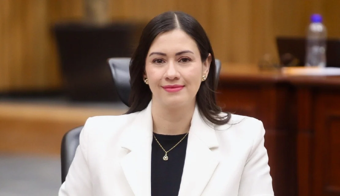 Blanca Cruz se perfila como consejera presidenta provisional del INE
