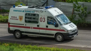 ¿Qué pasó en Siberia? Esto sabemos del brote de peste en un laboratorio que dejó una persona fallecida y 200 aisladas