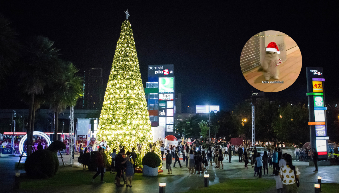 De Halloween a Navidad en un día: Venezuela adelantará las fiestas decembrinas tras anuncio de Delcy Rodríguez