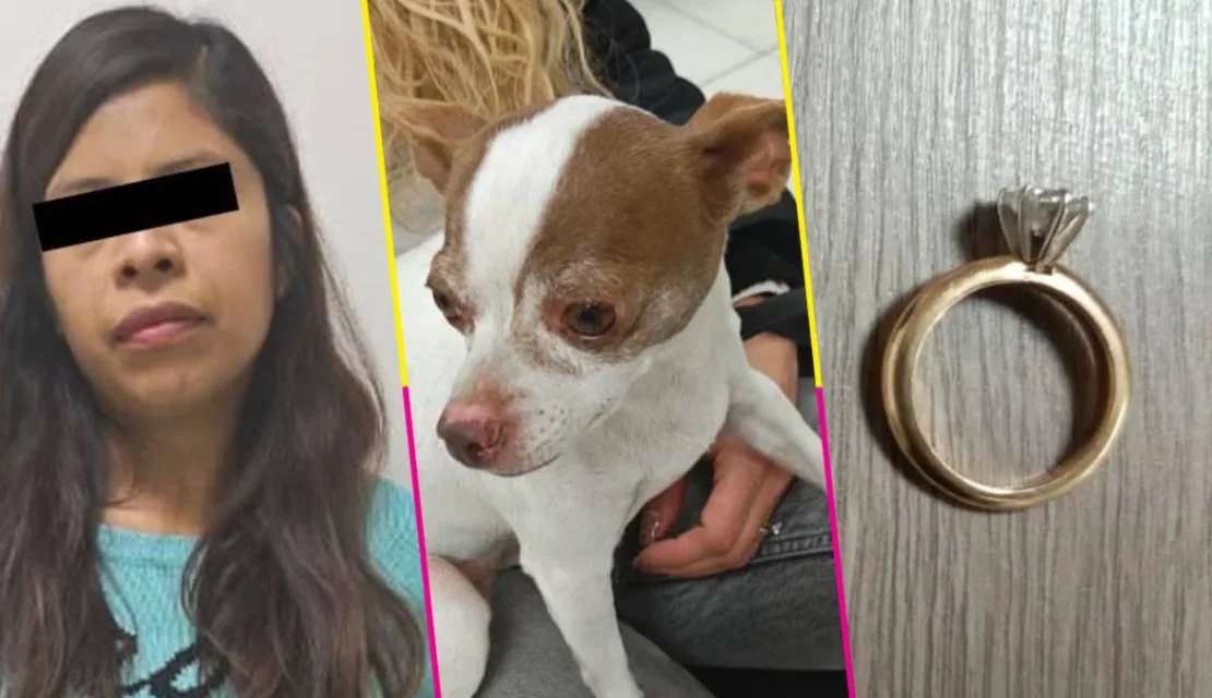 ¡Ni las mascotas se salvan! Mujer secuestra perrita chihuahua para exigir dinero en Iztapalapa
