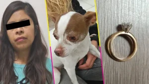 detienen-mujer-secuestro-perrita-chihuahua-exigir-dinero-joyas-destacada