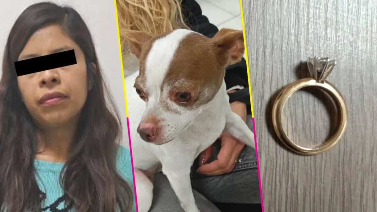 detienen-mujer-secuestro-perrita-chihuahua-exigir-dinero-joyas-destacada