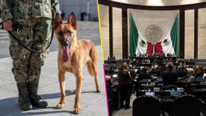 Sorprenden a 35 diputados con armas en el Congreso