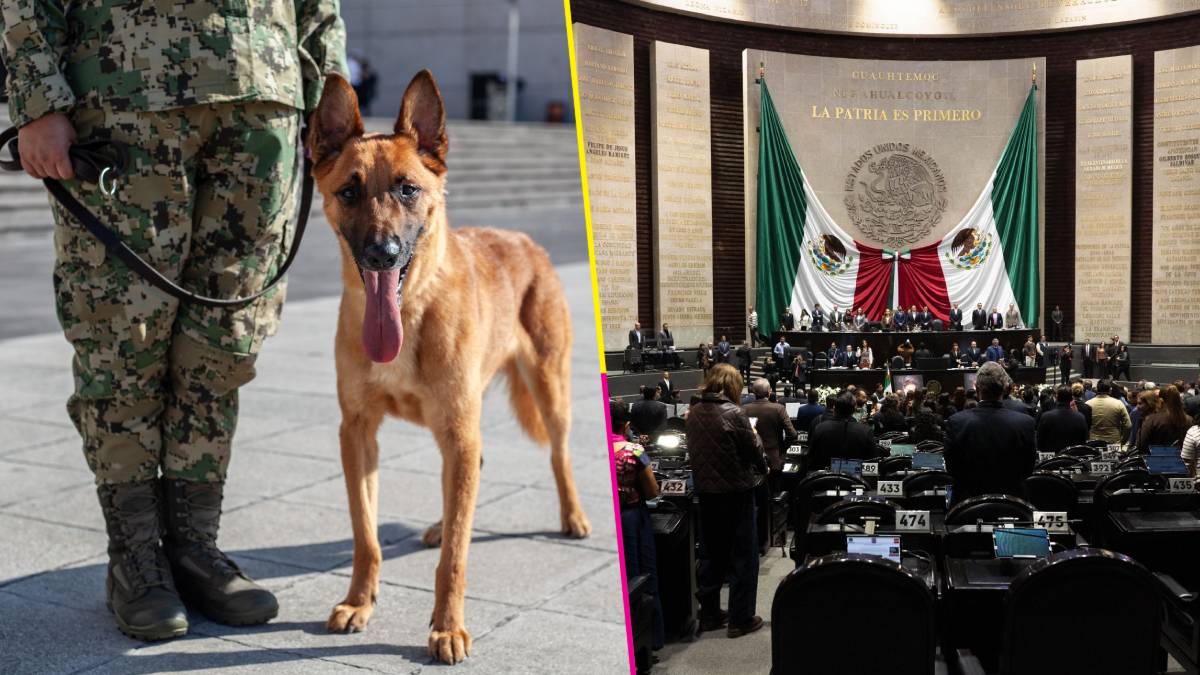 Sorprenden a 35 diputados con armas en el Congreso