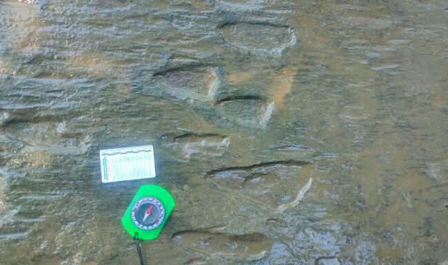 Parque Jurásico en México… Descubren huellas de dinosaurio reales en Michoacán