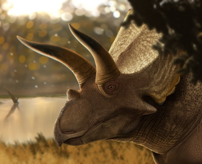 Parque Jurásico en México… Descubren huellas de dinosaurio reales en Michoacán
