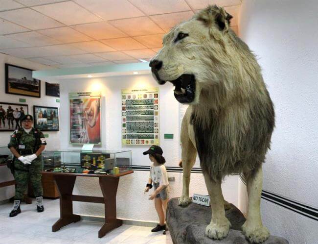 Lugares ultrarraros de la CDMX presenta: El Museo del Enervante