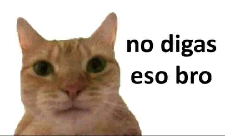 No digas eso meme