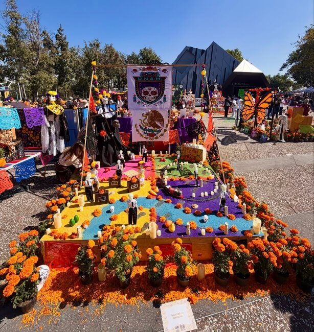 ¿Qué ver y en dónde? Guía de las ofrendas más monumentales de la CDMX