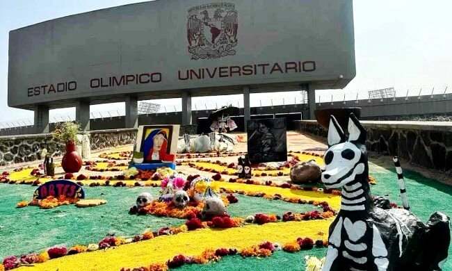 ¿Qué ver y en dónde? Guía de las ofrendas más monumentales de la CDMX