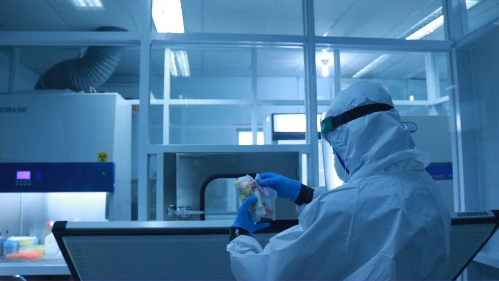 "Todo está bajo control": Siberia niega casos de peste