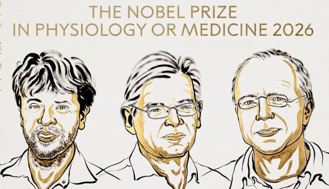 Premio Nobel de Medicina para Karl Deisseroth, Peter Hegemann y Georg Nagel por el ‘interruptor de luz’