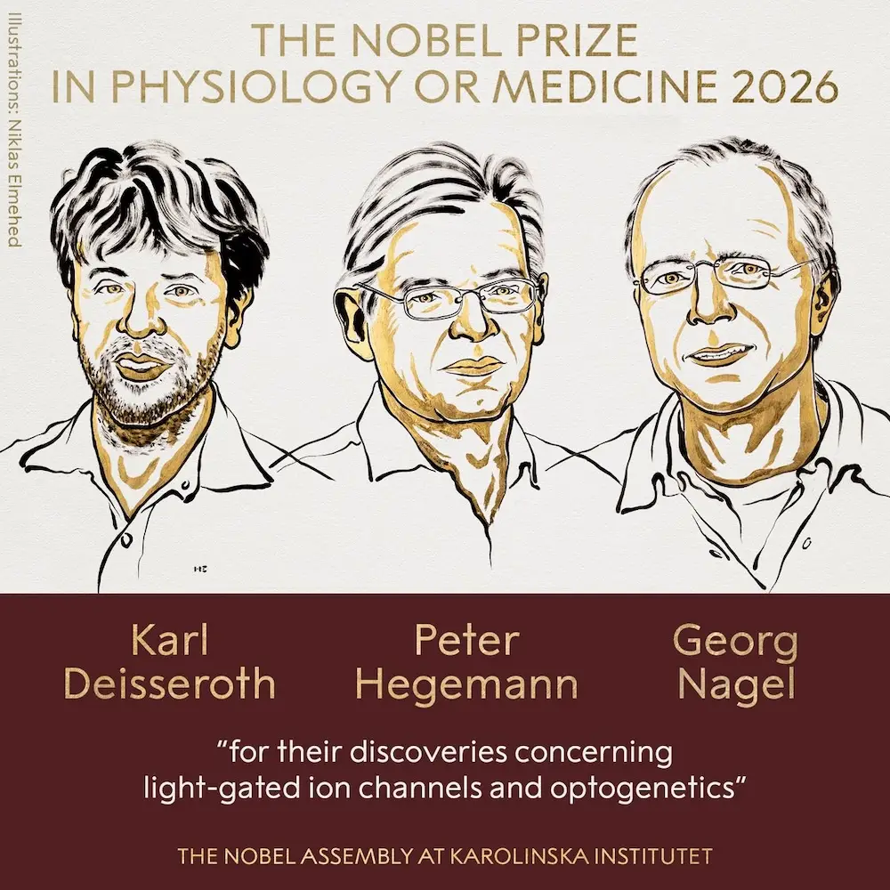 Premio Nobel de Medicina para Karl Deisseroth, Peter Hegemann y Georg Nagel por el 'interruptor de luz'