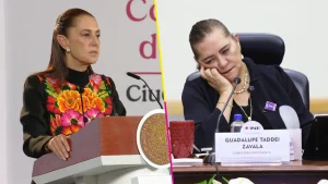 sheinbaum-confirma-investigacion-contra-guadalupe-taddei-tras-renuncia-ine-destacada
